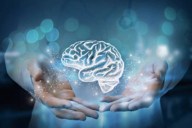 BrainLive™ Advanced Cognitive Wellness Supplement